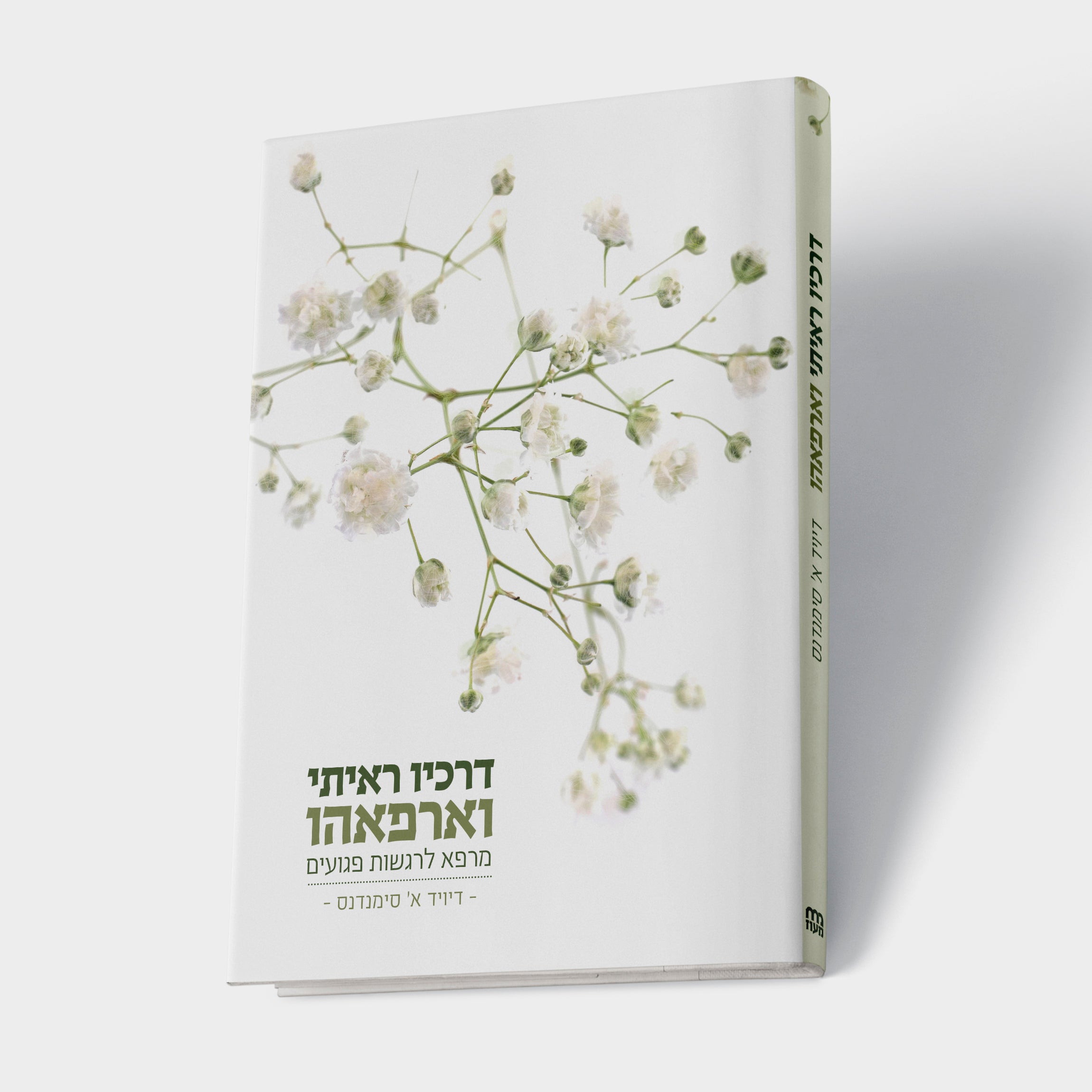 דרכיו ראיתי וארפאהו